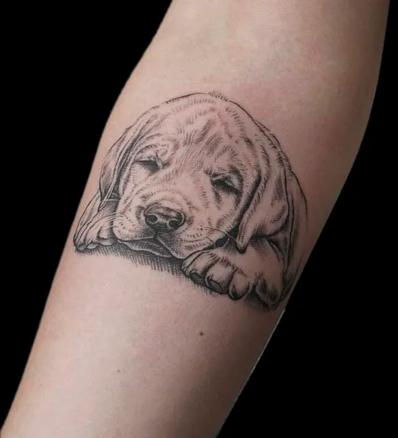 Sunside Tattoo Studio | Klagenfurt